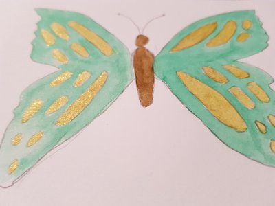 butterfly with gold patches on its wings