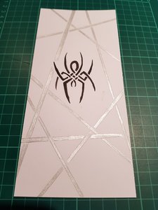 spider with silver thread